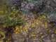 imgo5180007_small.jpg