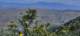 imgg20260328_132944_small.jpg