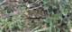 imgg20260328_133637_small.jpg