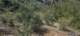imgg20260404_130247_small.jpg
