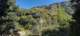 imgg20260509_090205_small.jpg