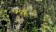 imgg20260509_103344_small.jpg