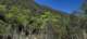 imgg20260509_122233_small.jpg
