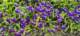 imgg20260509_151430_small.jpg