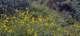 imgg20260523_070321_small.jpg