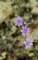 imgg20260523_093025_small.jpg