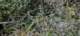 imgg20260523_101151_small.jpg
