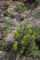 imgg20260523_134607_small.jpg