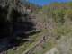 imgo6010016_small.jpg