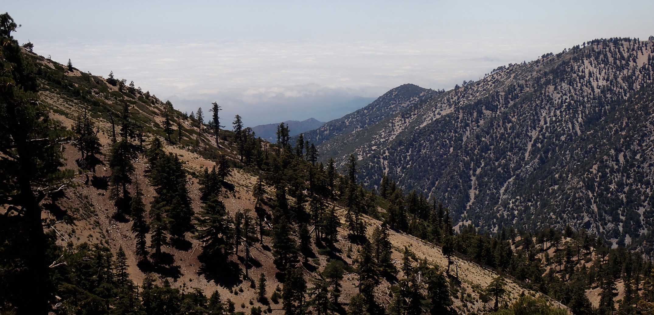 imgo6010024m.jpg