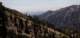 imgo6010024m_small.jpg