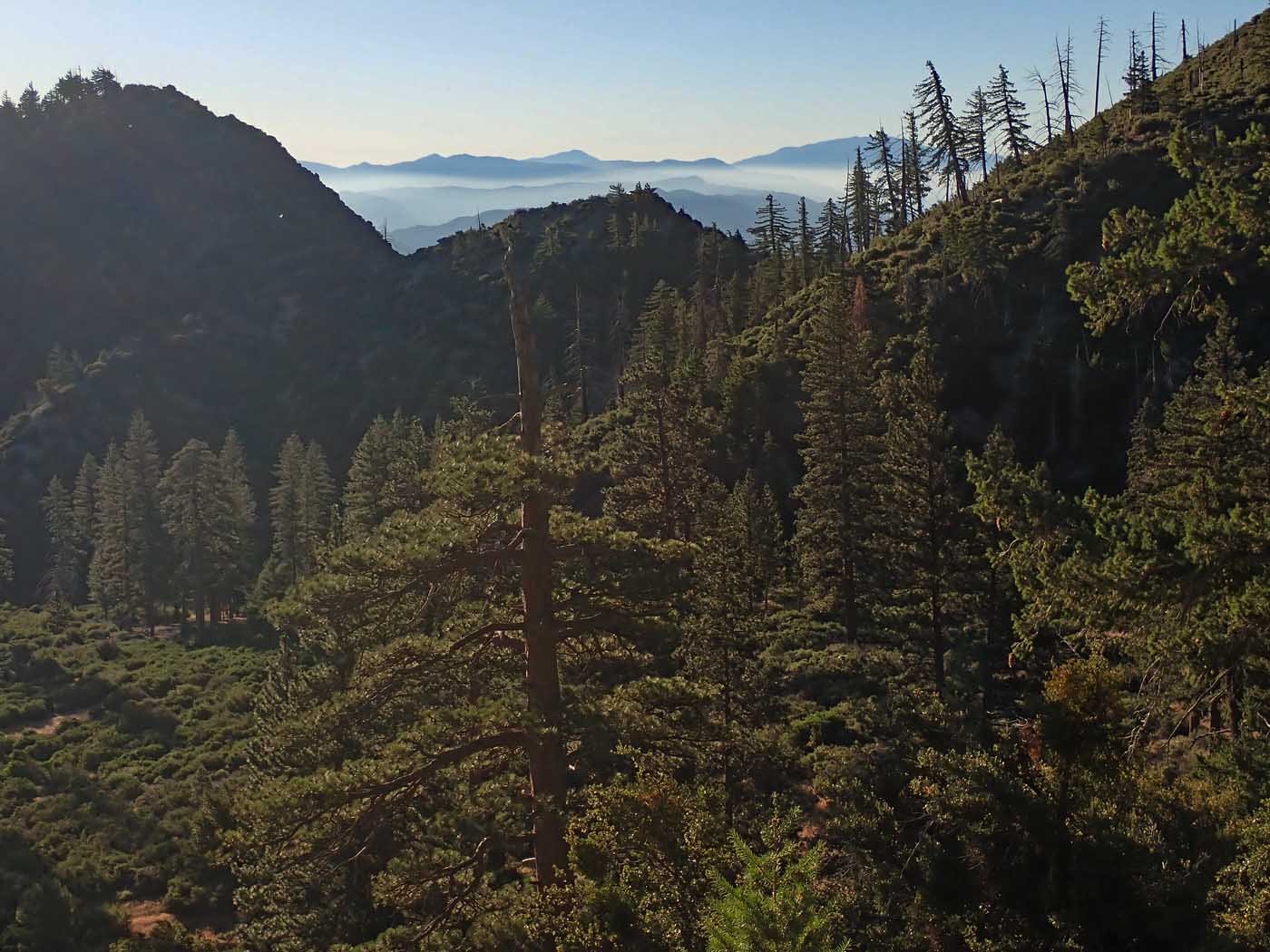 Hike Training in the San Gabriel Mountains June - July 2024 