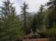 imgo5030014_small.jpg