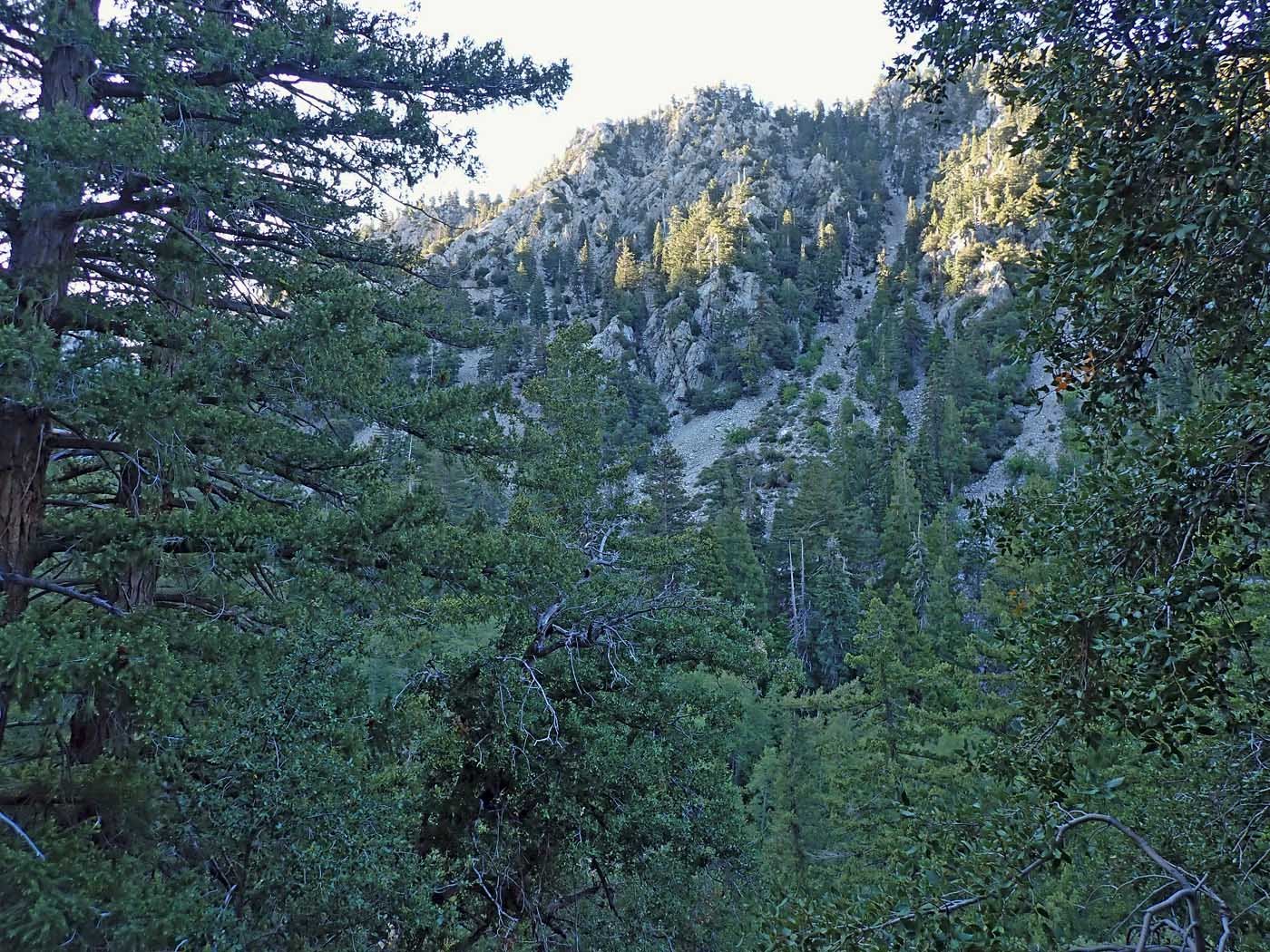 imgo5240004.jpg