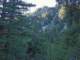 imgo5240004_small.jpg