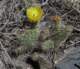 imgp0047_small.jpg