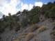imgp0071_small.jpg