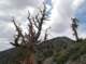 imgp0112_small.jpg