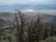 imgp0113_small.jpg