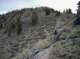 imgp0115_small.jpg