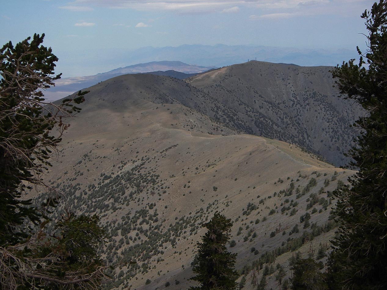 imgp0116.jpg