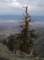 imgp0117_small.jpg