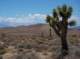 imgp0149_small.jpg
