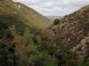 imgp3290014_small.jpg