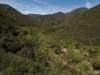 Conflence of Tenaja Creek into San Mateo Creek 4/12/2025