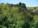 imgp0001_small.jpg