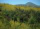 imgp0005_small.jpg