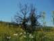 imgp0012_small.jpg