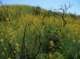 imgp0013_small.jpg