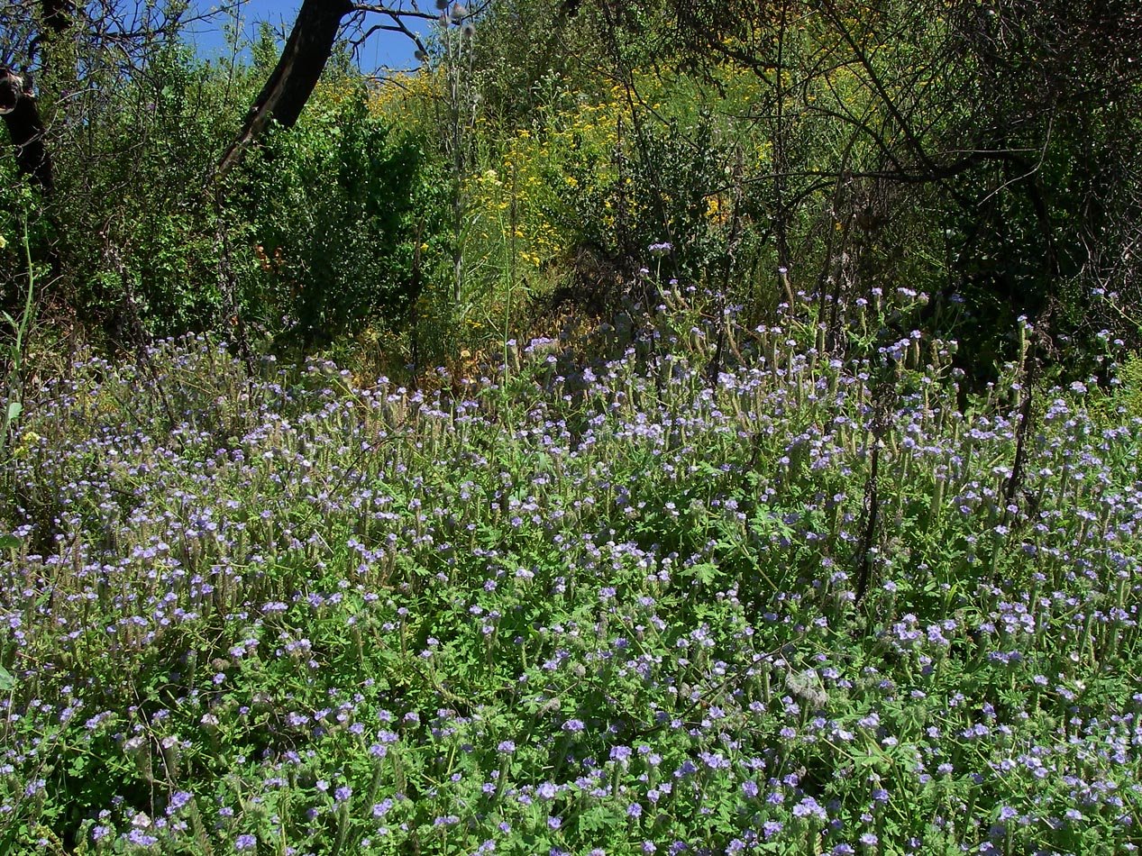 imgp0016.jpg