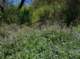 imgp0016_small.jpg