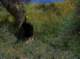 imgp0018_small.jpg