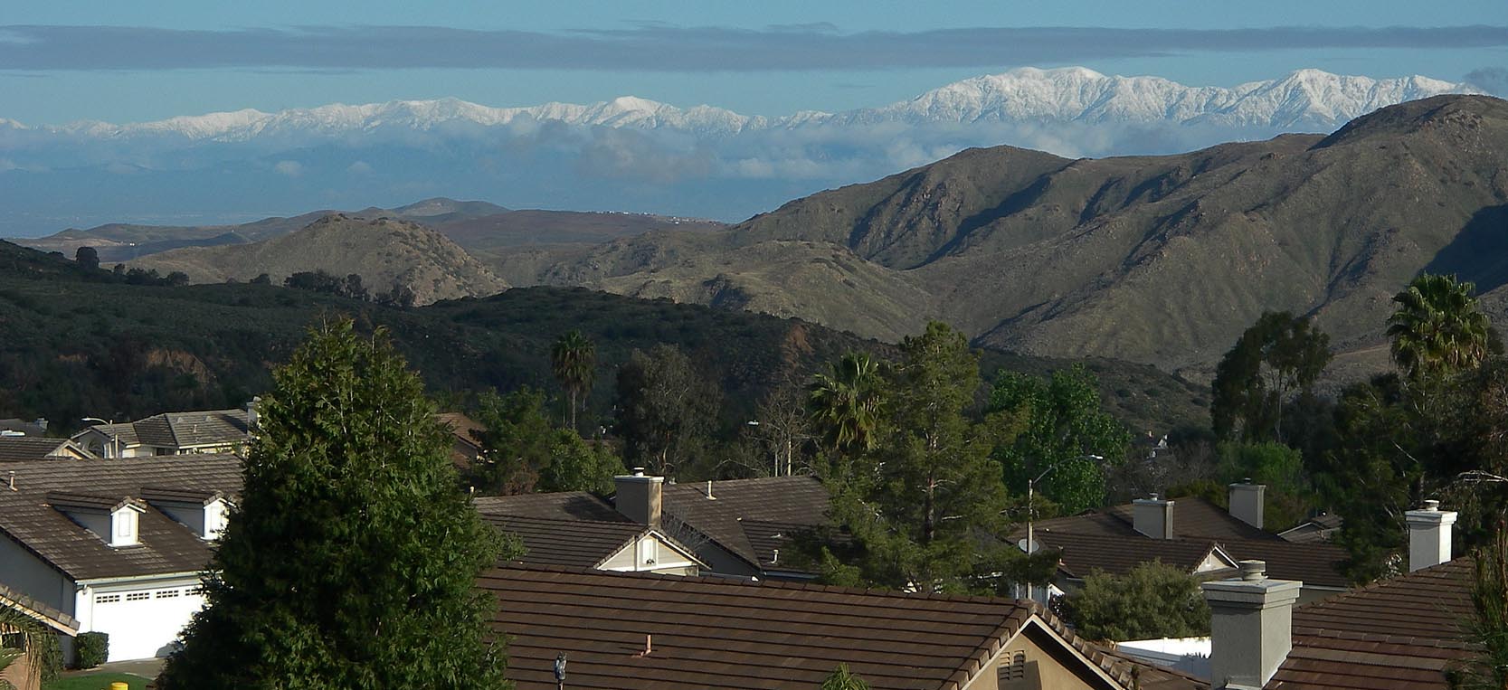 A late winter this year as seen from my backyard fence 3/20/2020