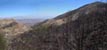 Coulter Pine Forest burned in the 2018 Holy Fire 3/6/2021