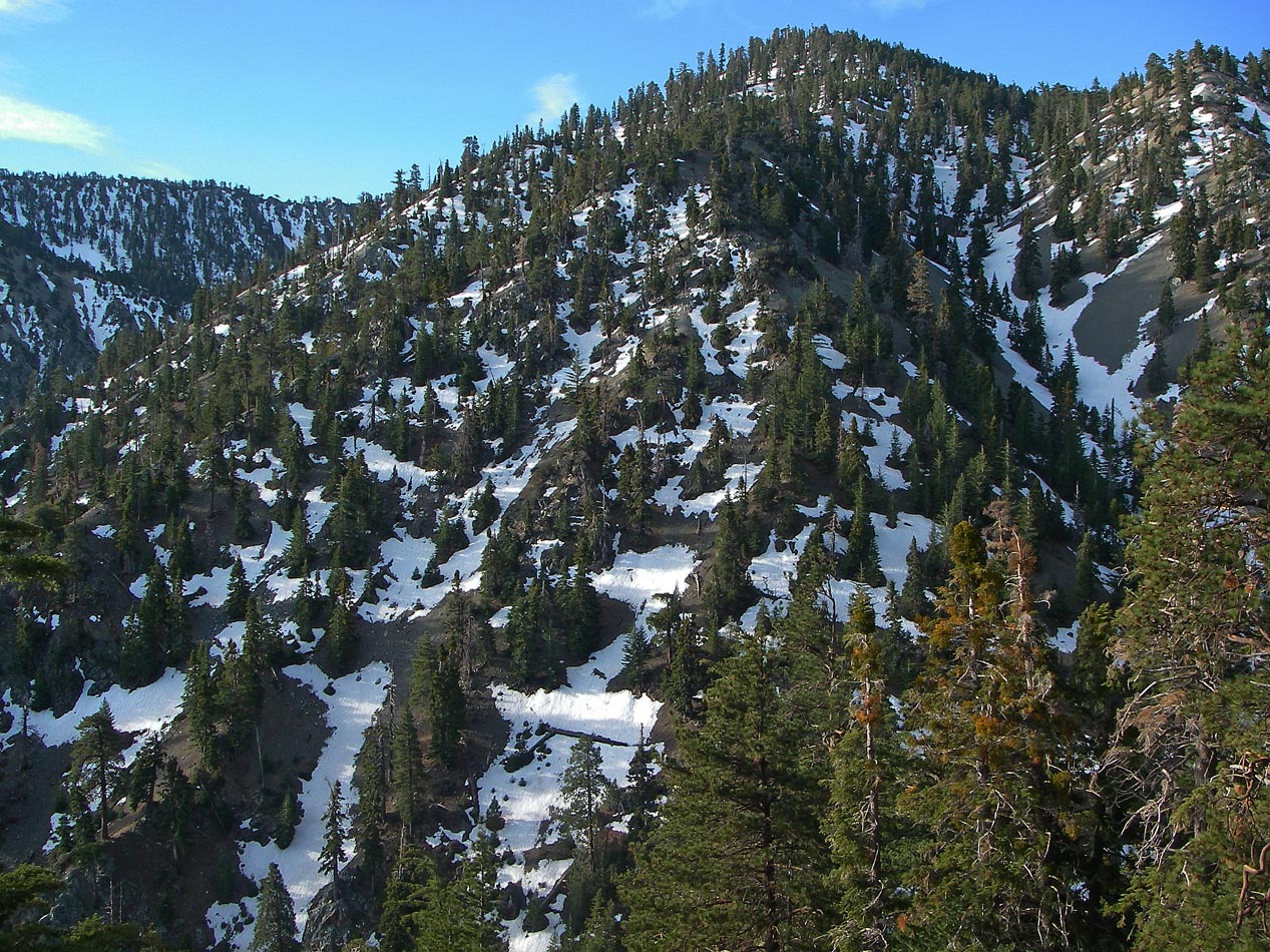 5-hour training hike up and down Baldy Road 4/10/2021