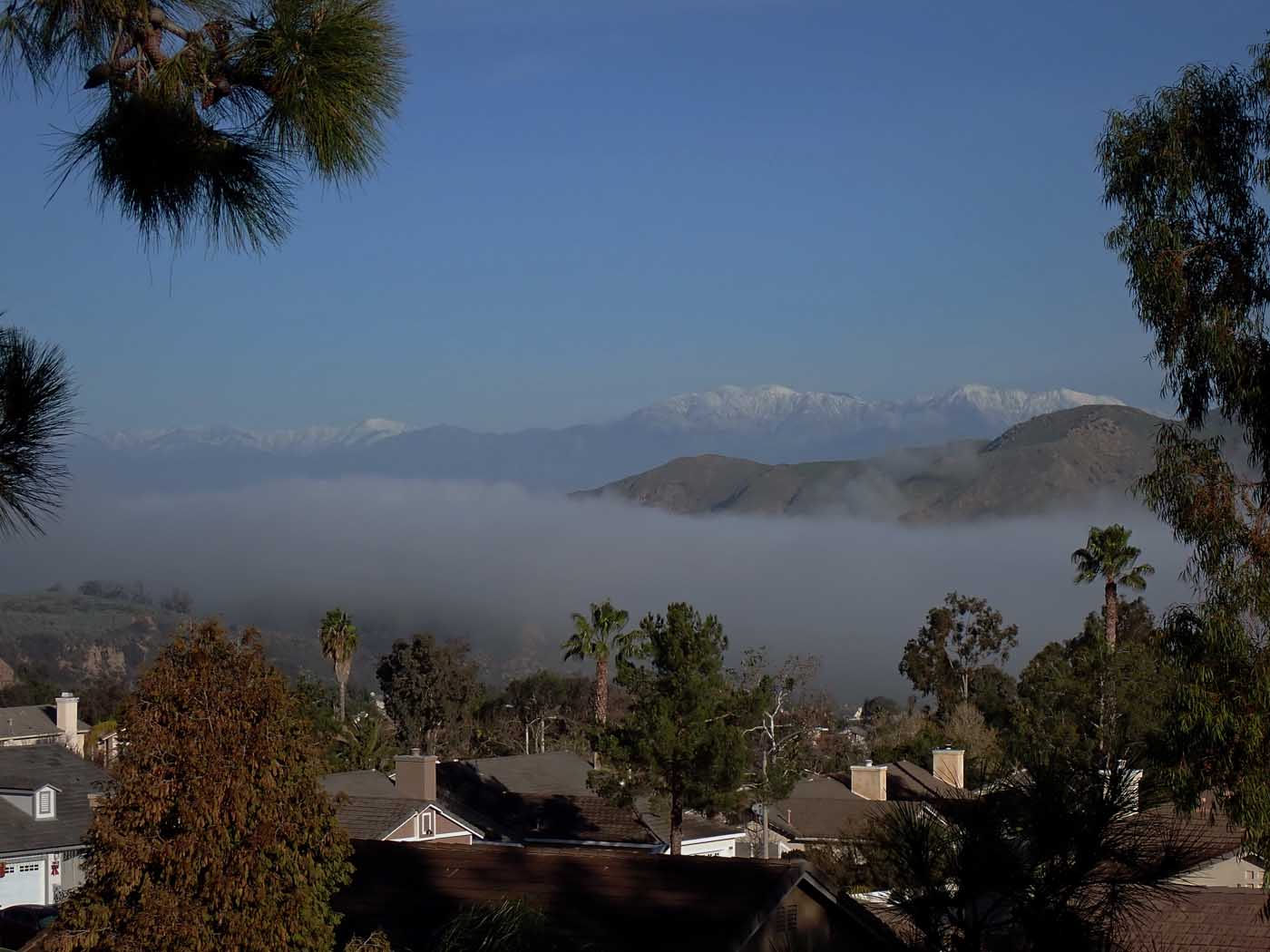 Happy New Year from Temescal Valley 1/2/2023