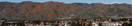 Panorama of Walker Canyon poppies blooming 2/7/2022