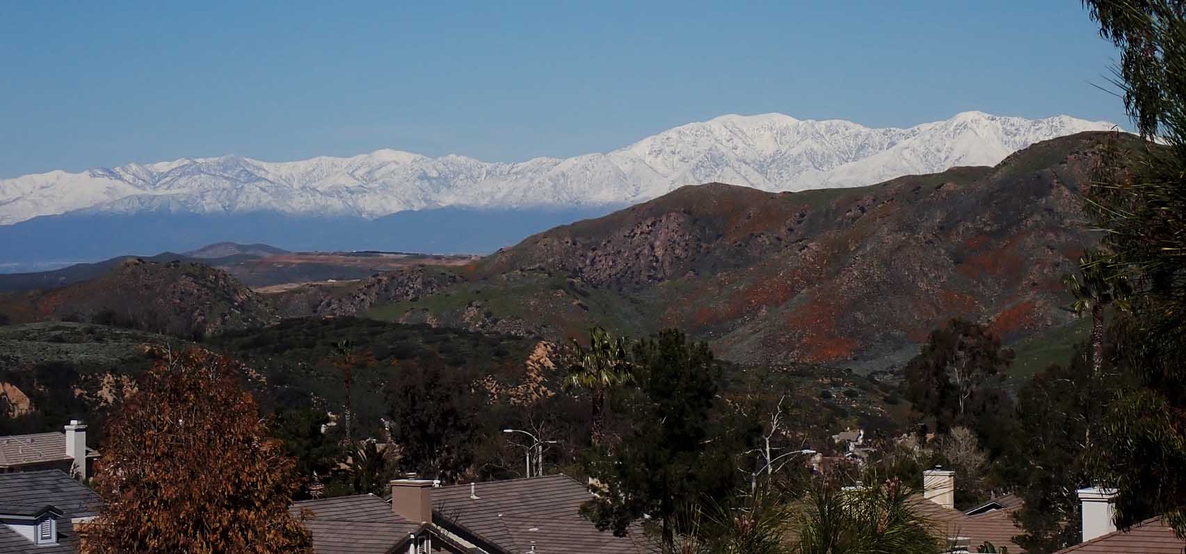 The most snow I've ever seen in the San Gabriel Mountains, from my backyard fence 3/2/2022