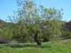 photo17_small.jpg