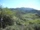 photo26_small.jpg