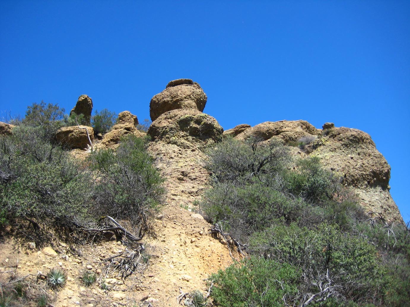 photo34.jpg