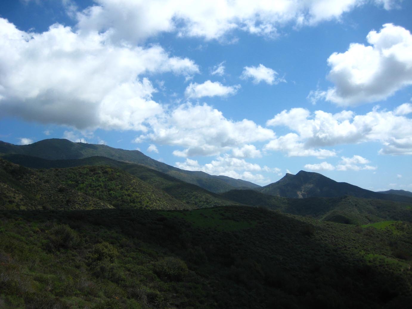 photo46.jpg