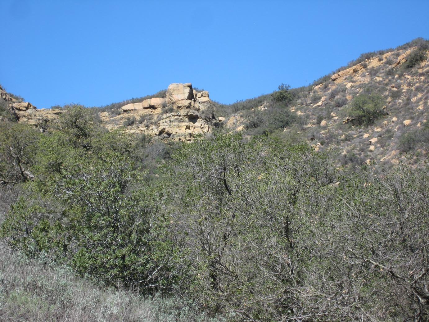 photo8.jpg