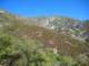 Half way to the top of Santiago peak