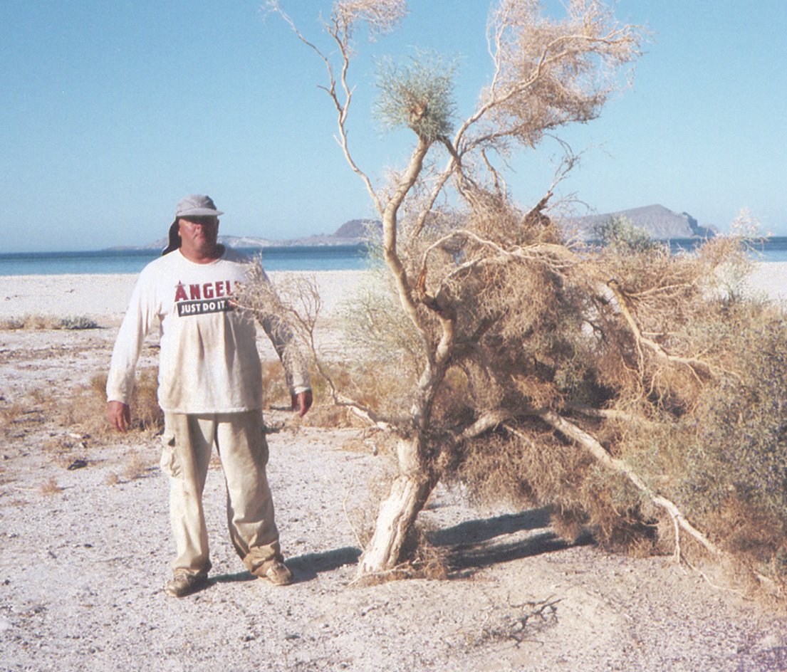 baja0813.jpg