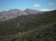 imgp0037_small.jpg